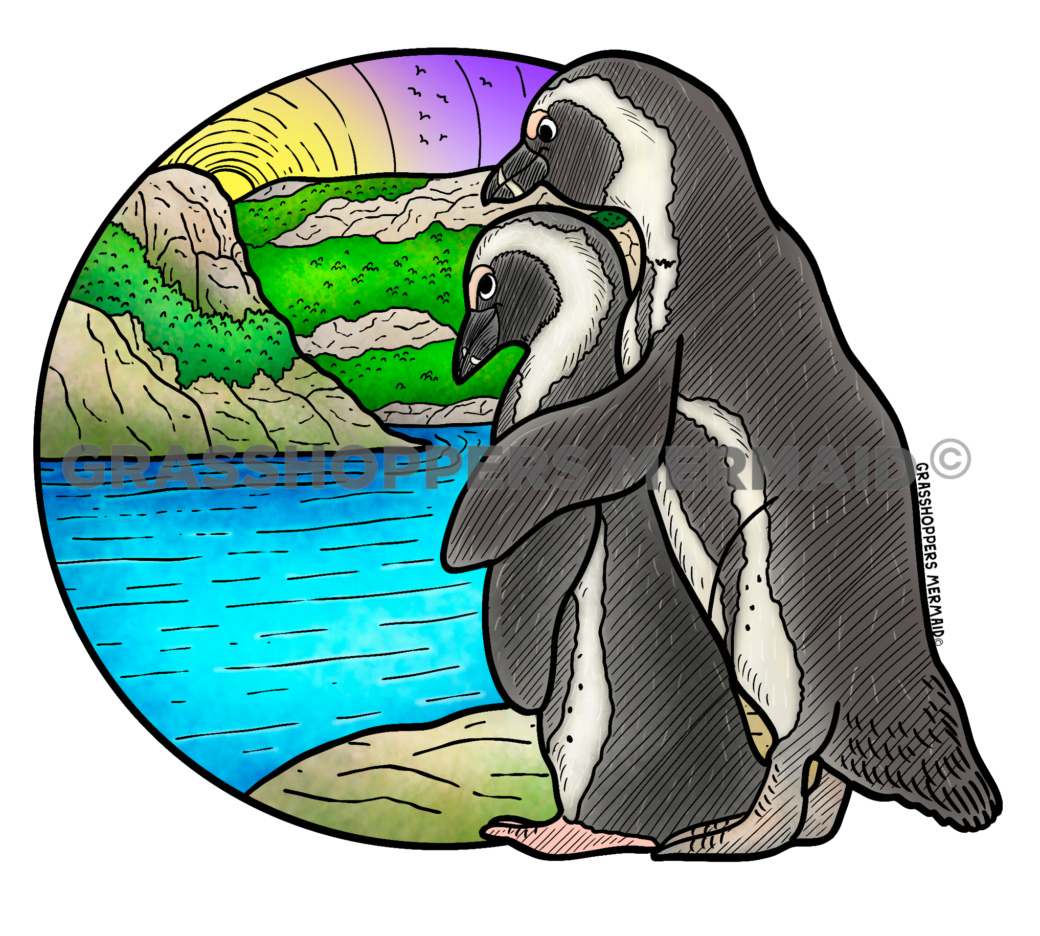 Blackfooted African Penguin Sunset