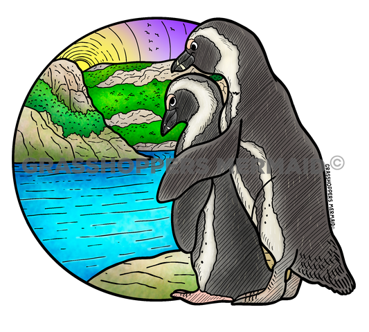 Blackfooted African Penguin Sunset