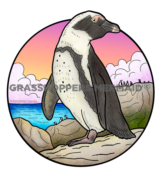 Blackfooted African Penguin