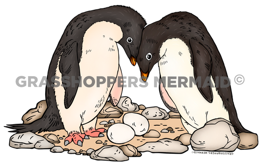 Adélie penguin Family