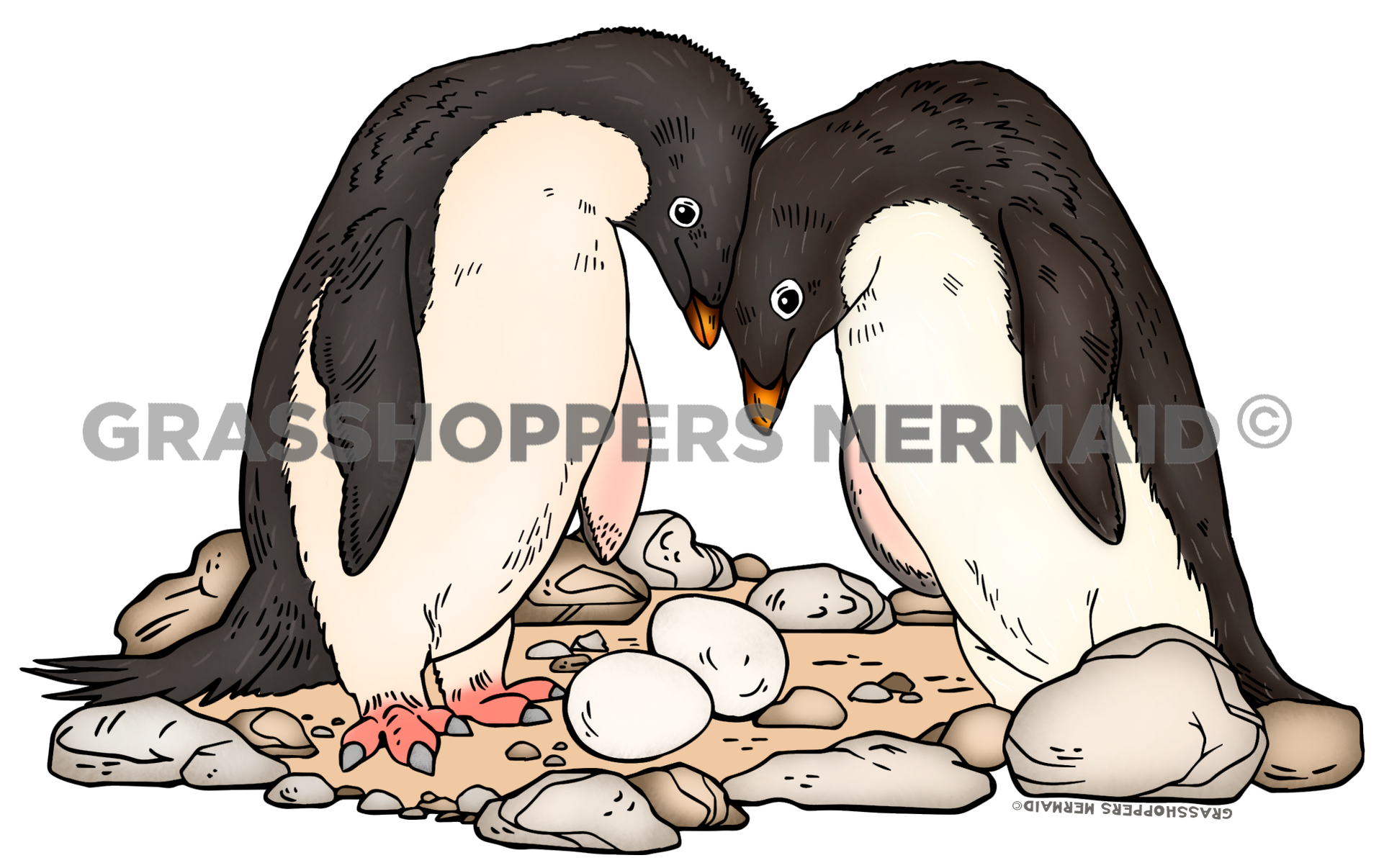 Adélie penguin Family