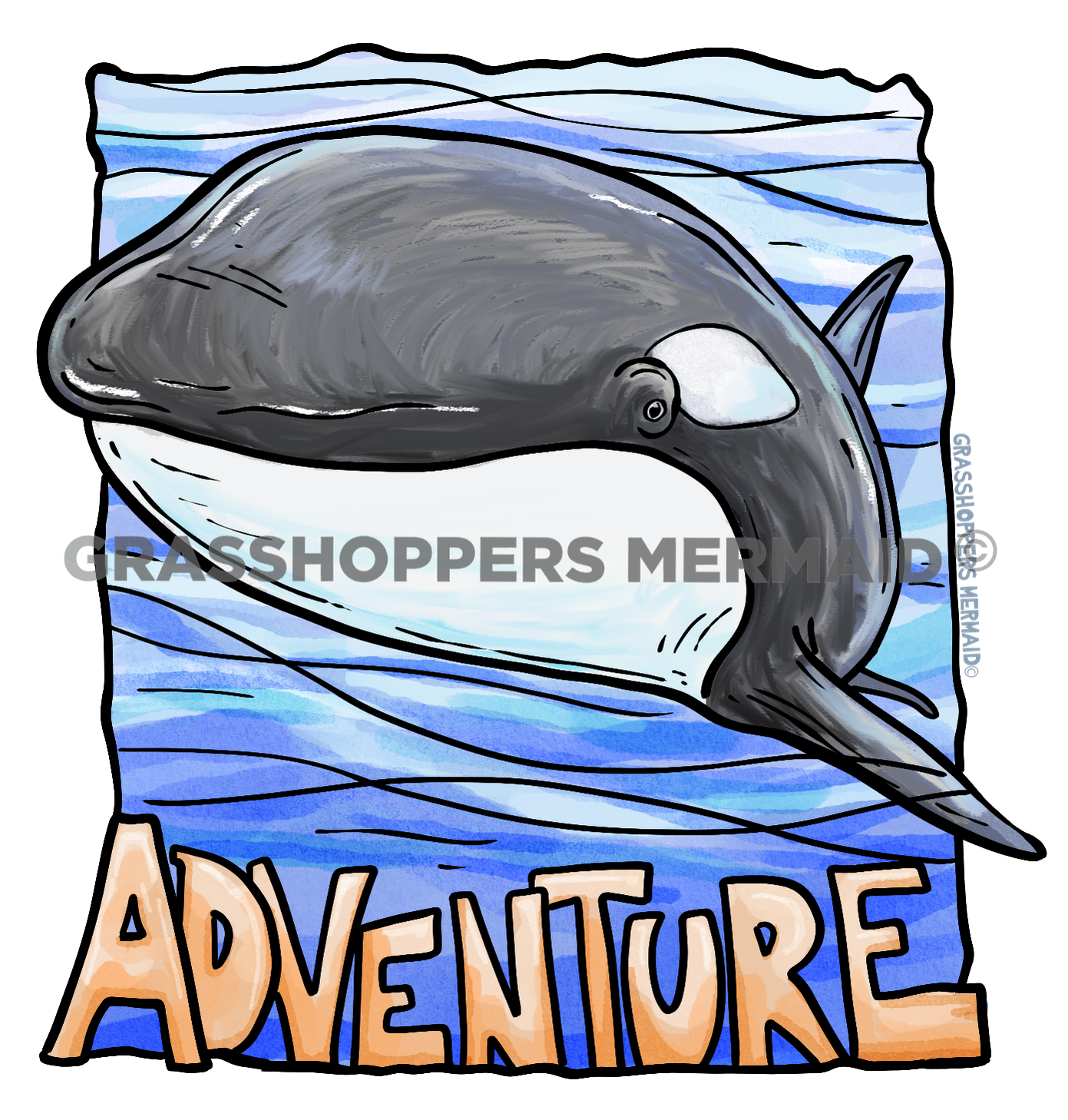Adventure Orca