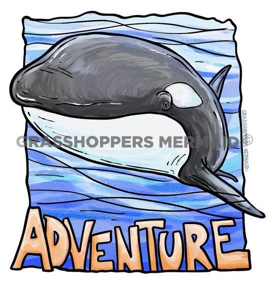 Adventure Orca