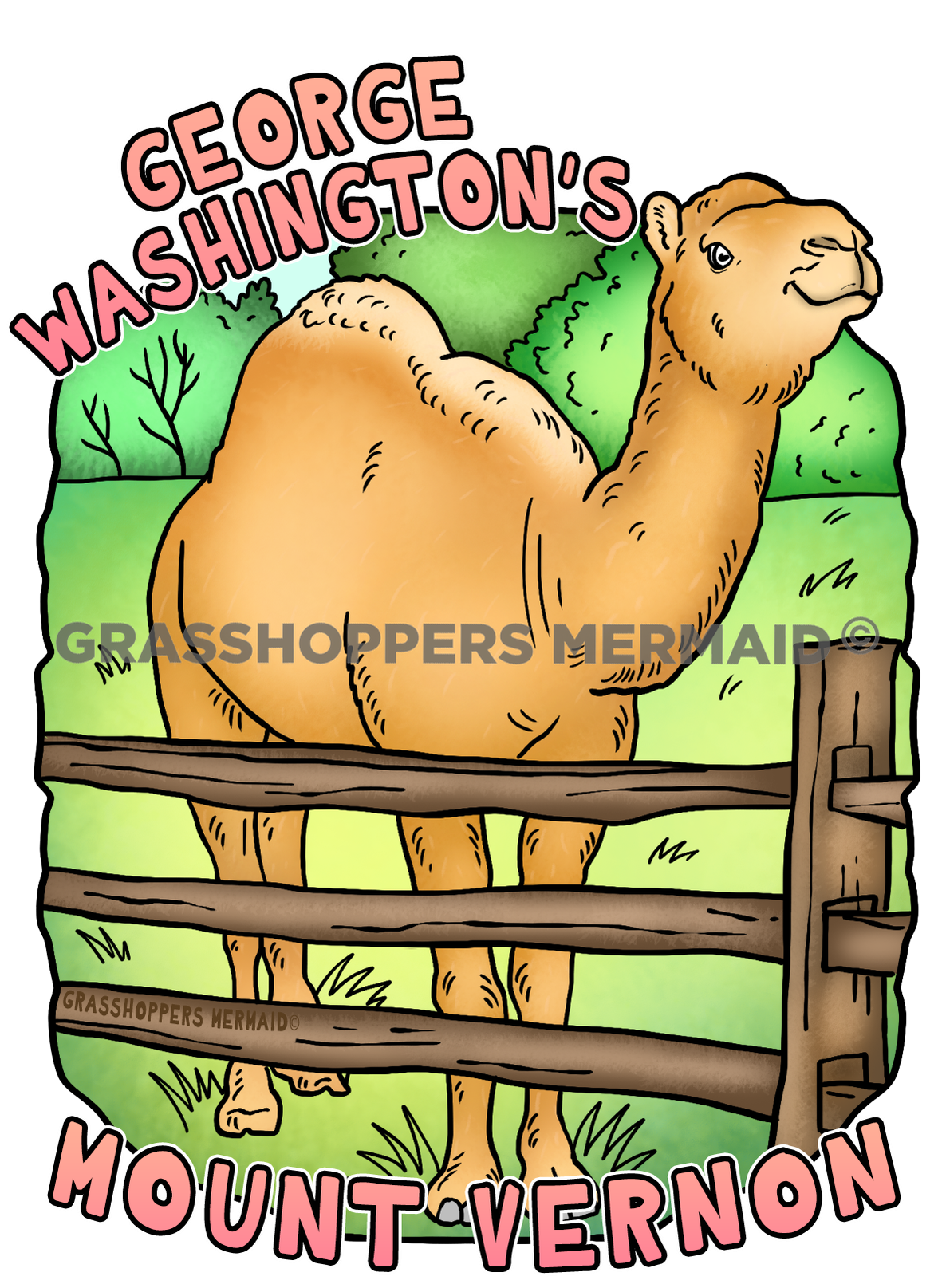 Aladdin the Camel