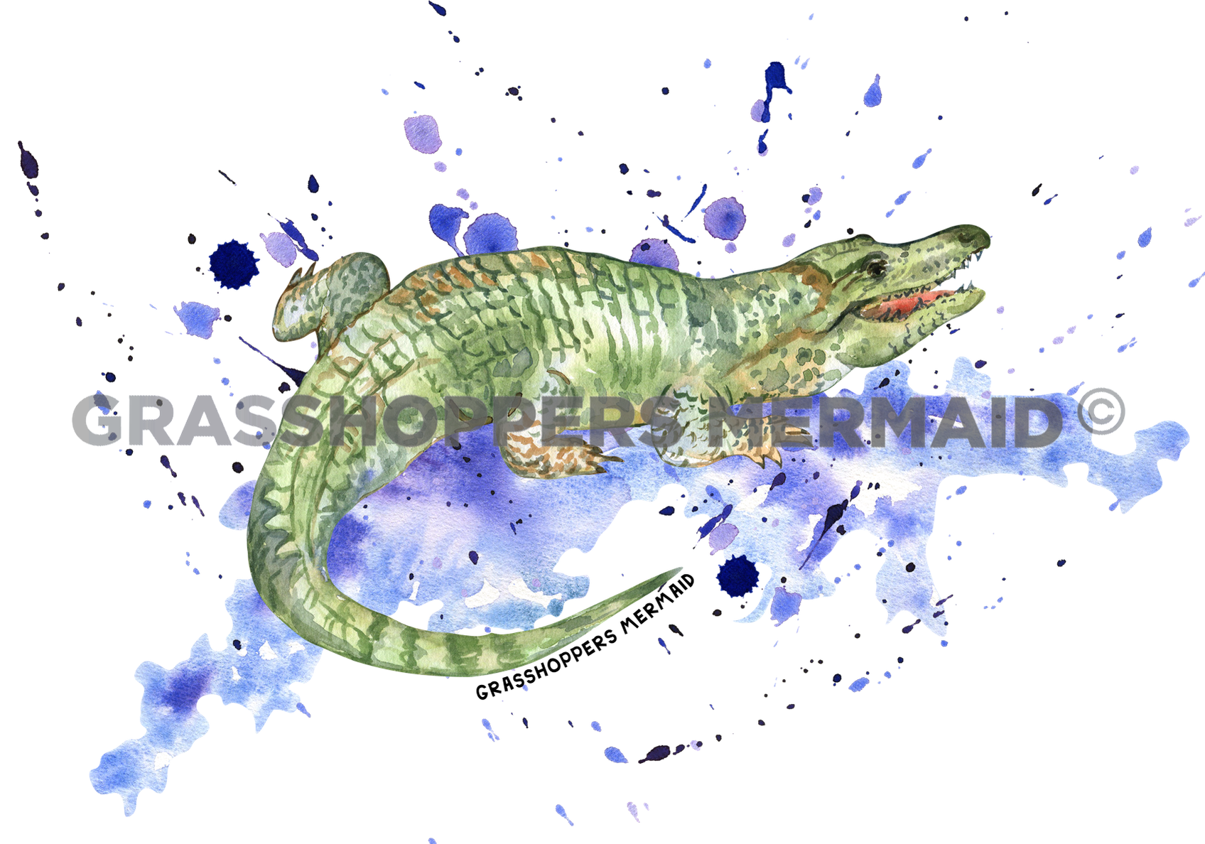 Alligator Laughing Puddle Splash