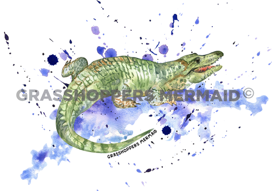 Alligator Laughing Puddle Splash