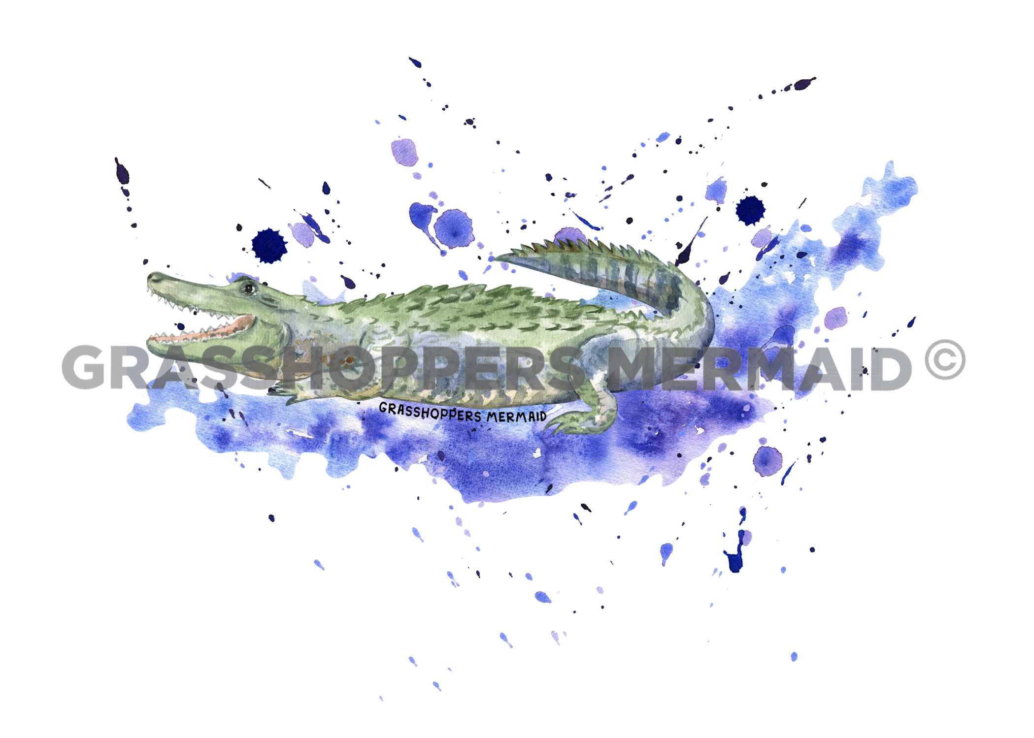 Alligator Water Splatter
