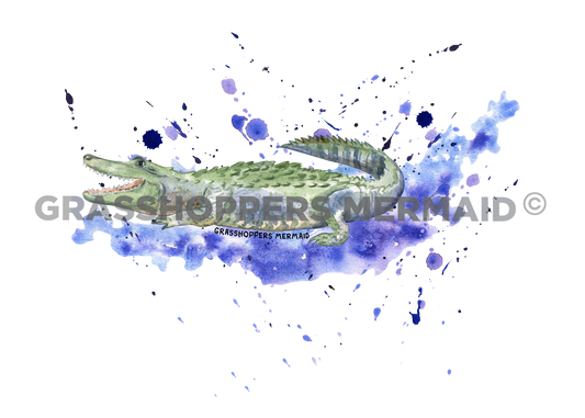 Alligator Water Splatter