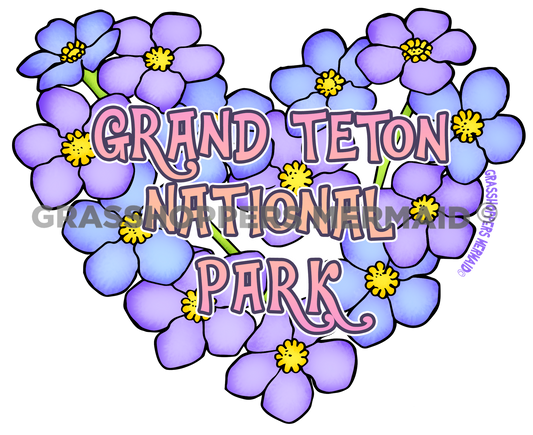 Alpine Forget Me Not