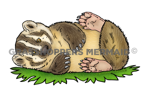 American Badger