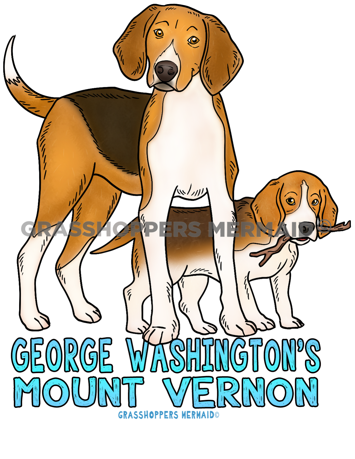 American Foxhound