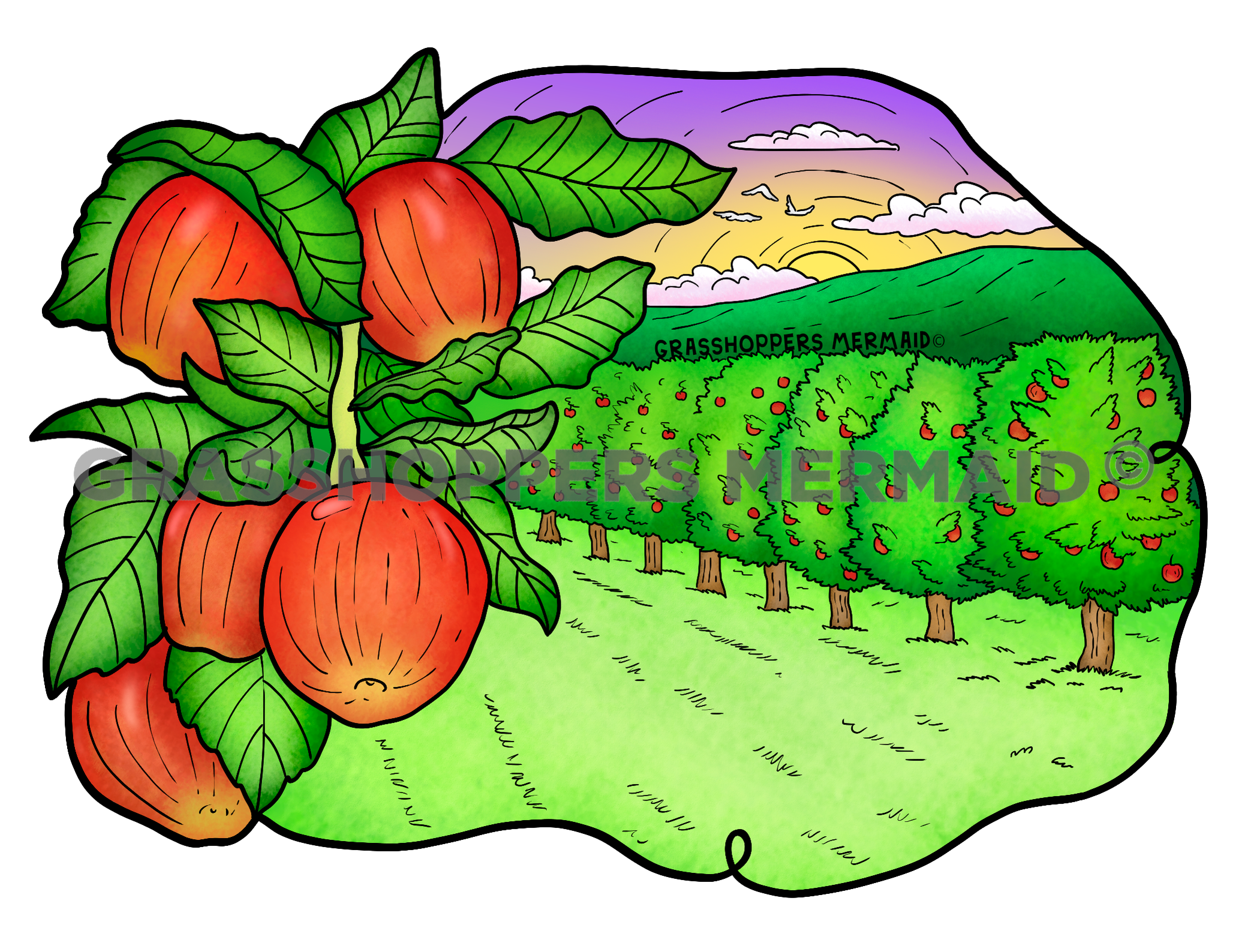 Apple Orchard