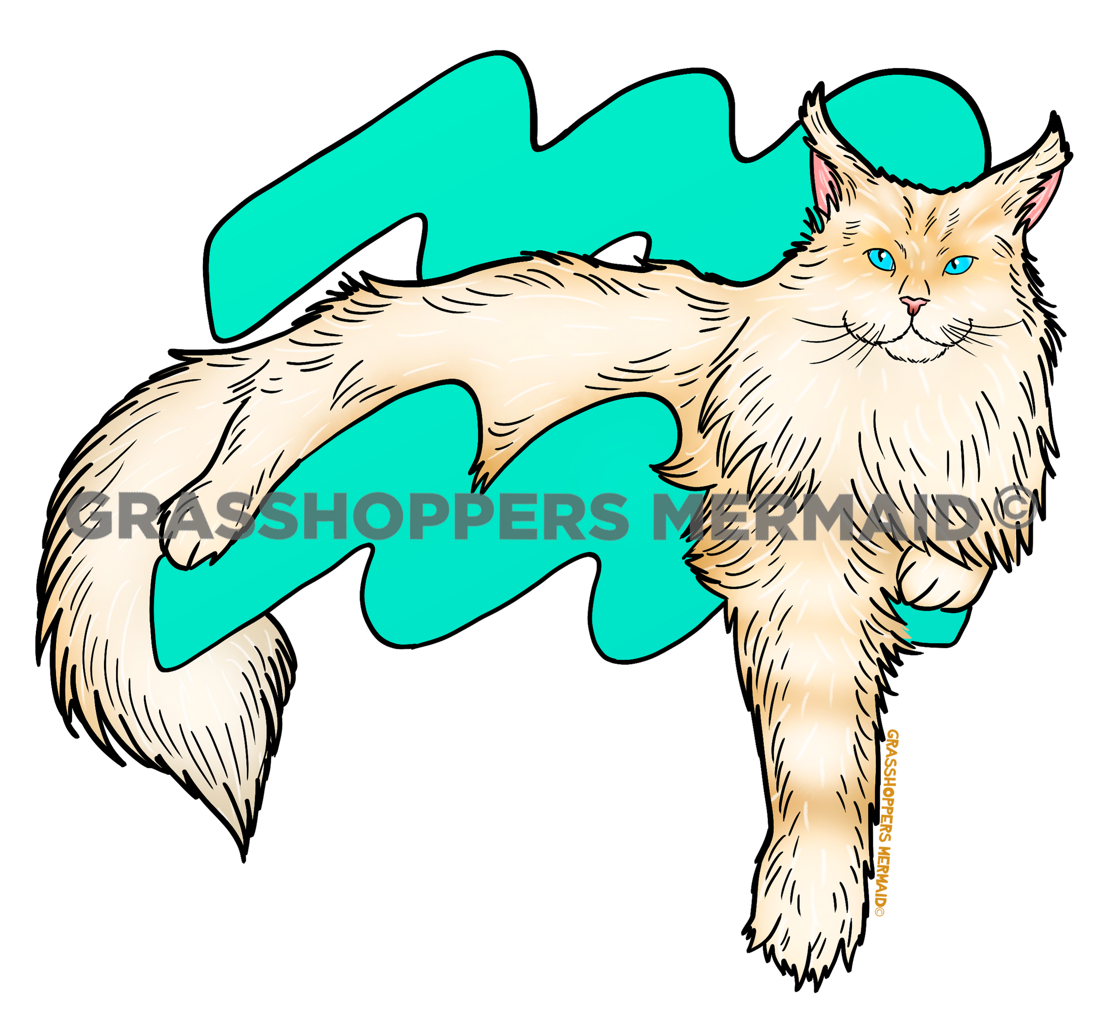 Aquarius Cat