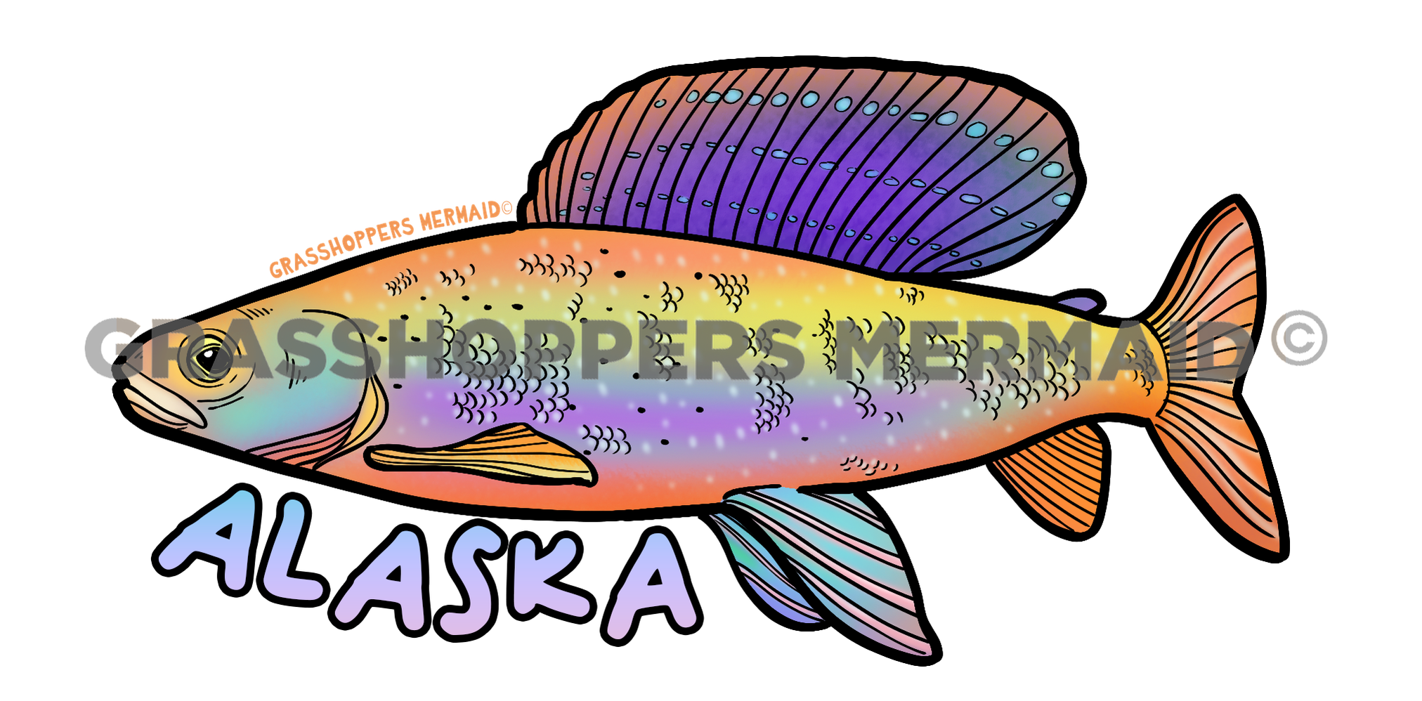 Arctic Grayling