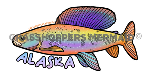 Arctic Grayling