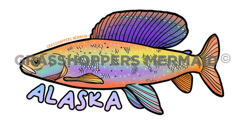 Arctic Grayling