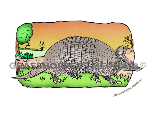 Armadillo Sunset