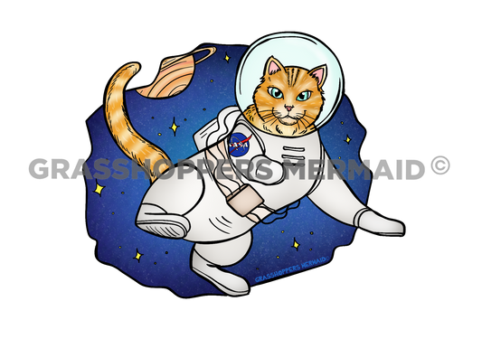 Astronaut Kitty