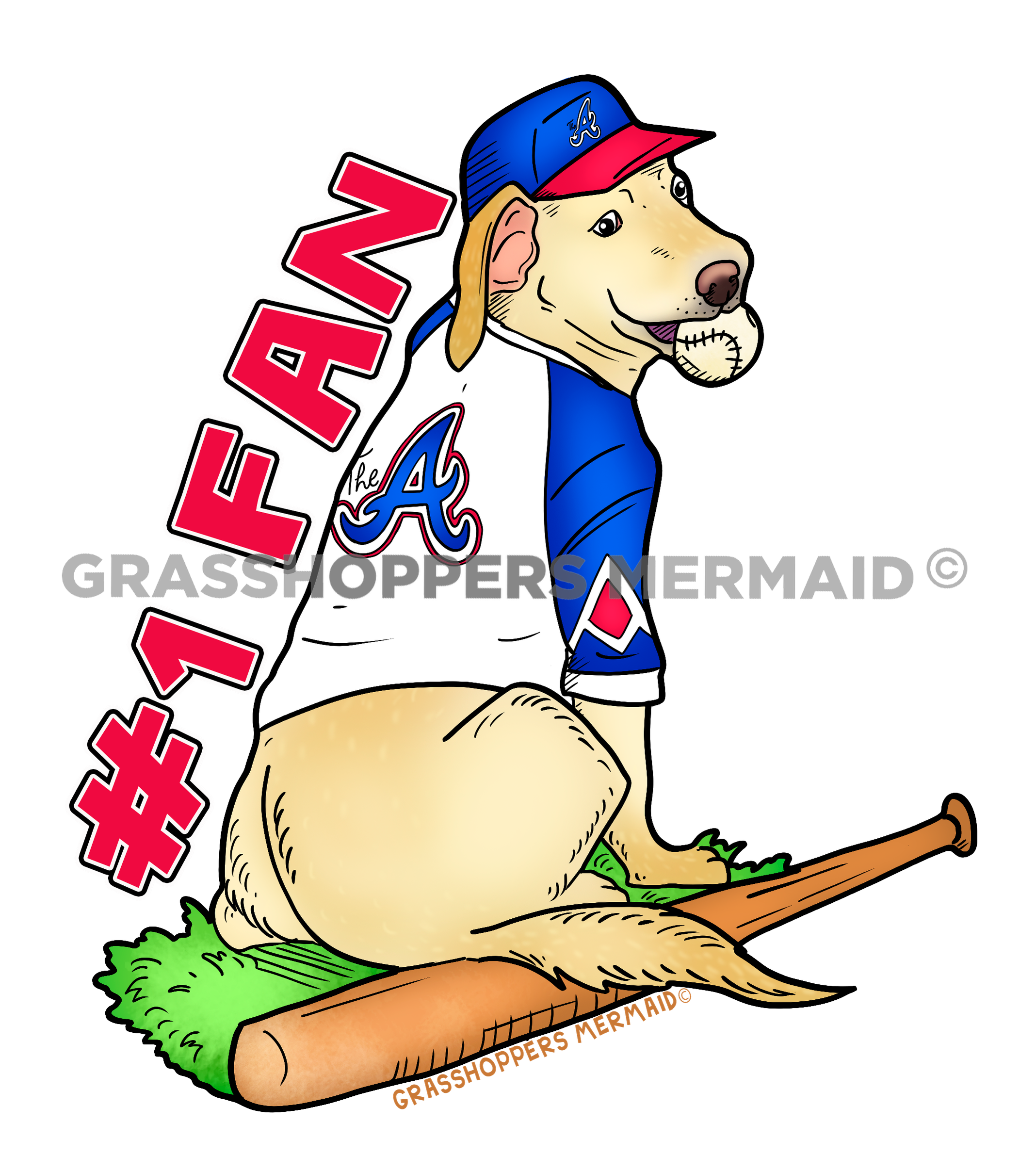 Atlanta Braves Fan