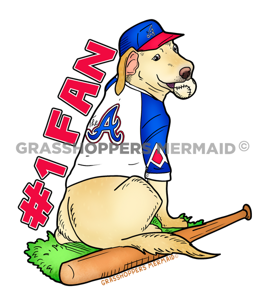 Atlanta Braves Fan