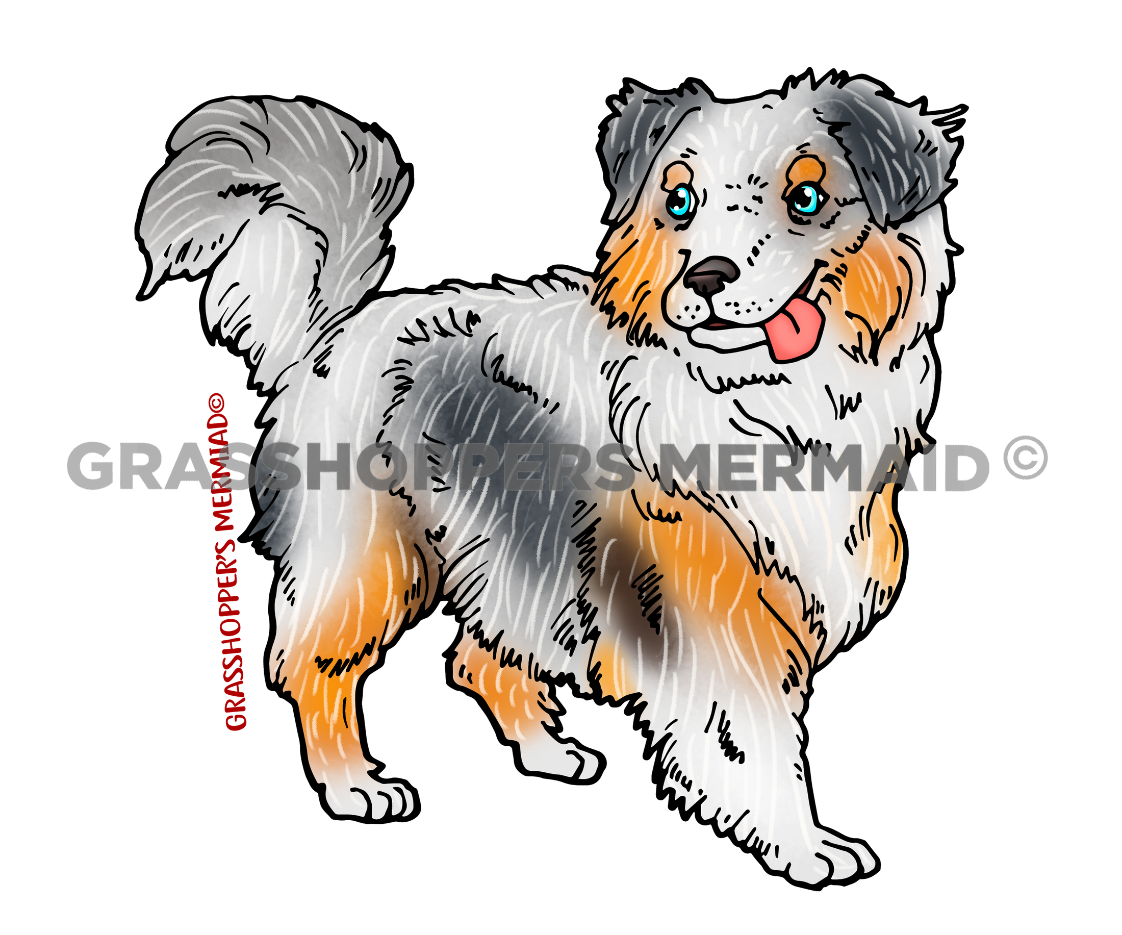 Australian Shepherd