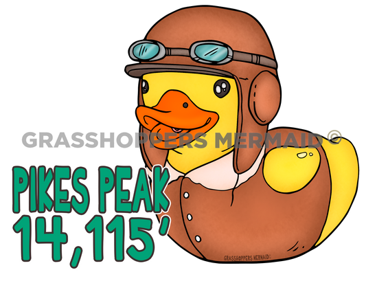 Aviator Duck