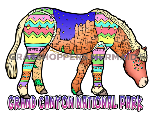 Aztec Night Pony