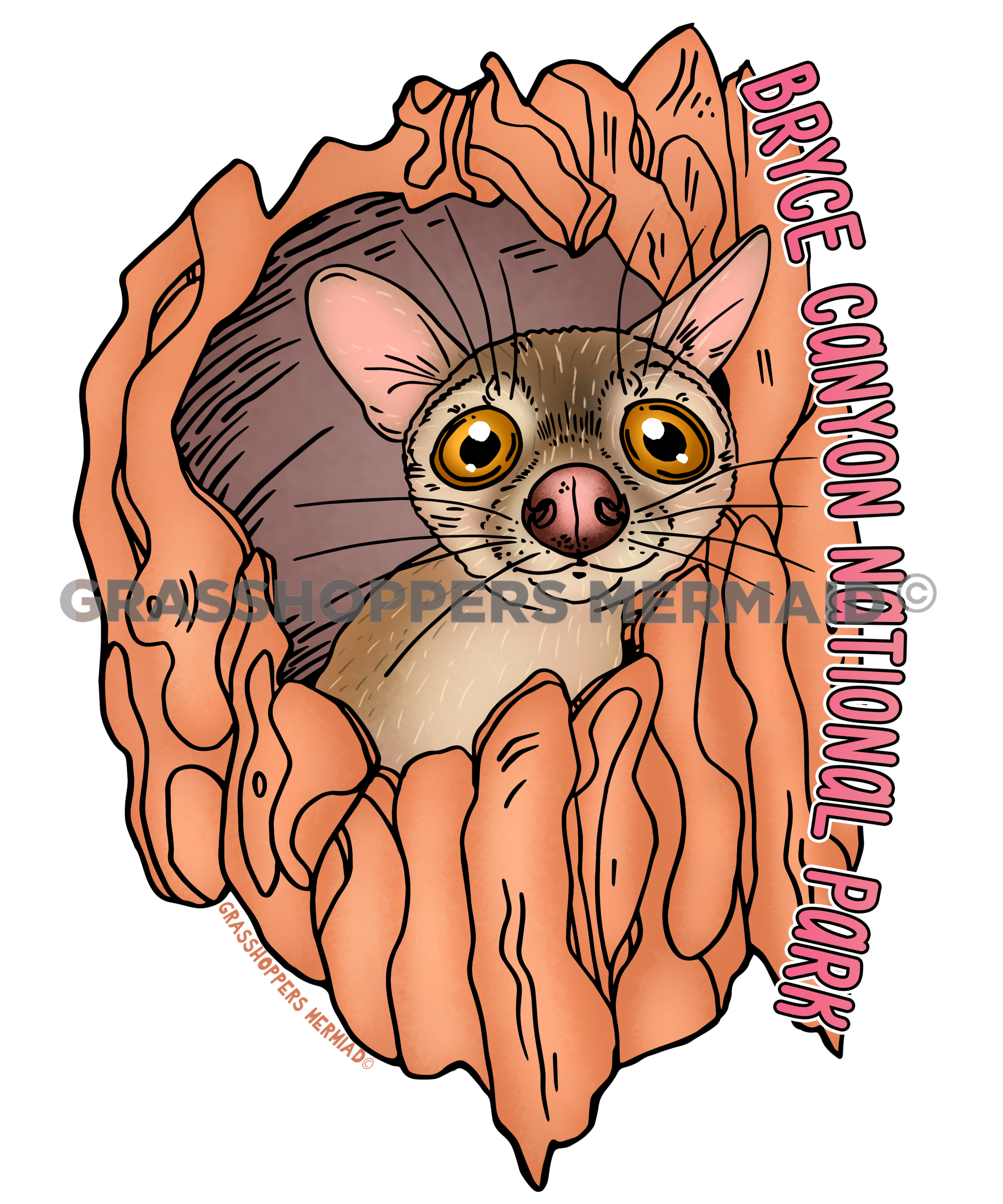 Baby Ringtail