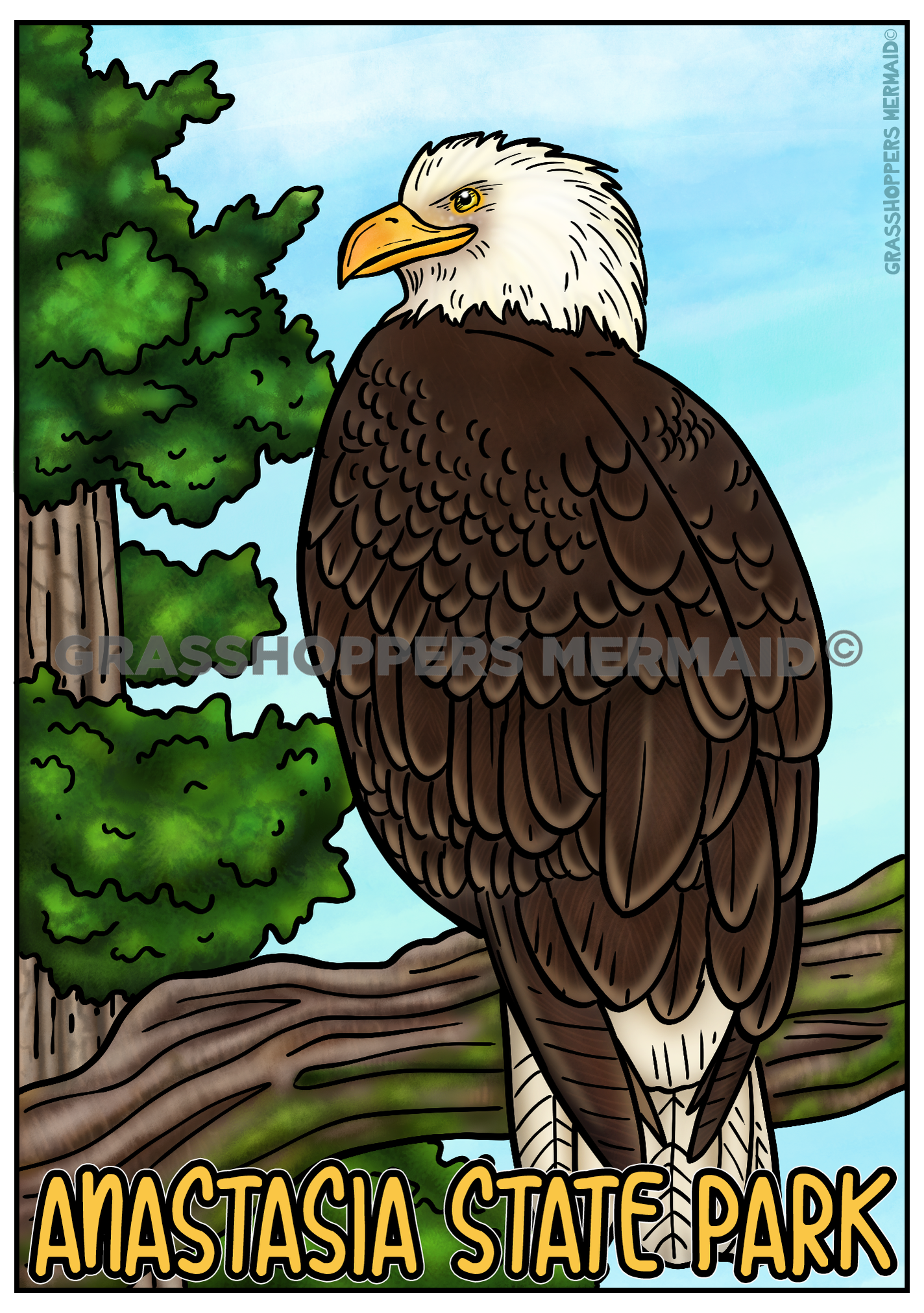 Bald Eagle Hangout
