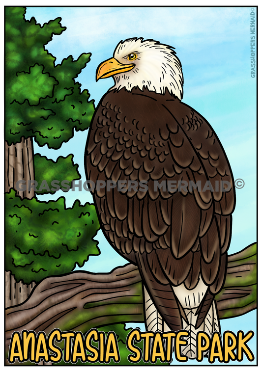 Bald Eagle Hangout