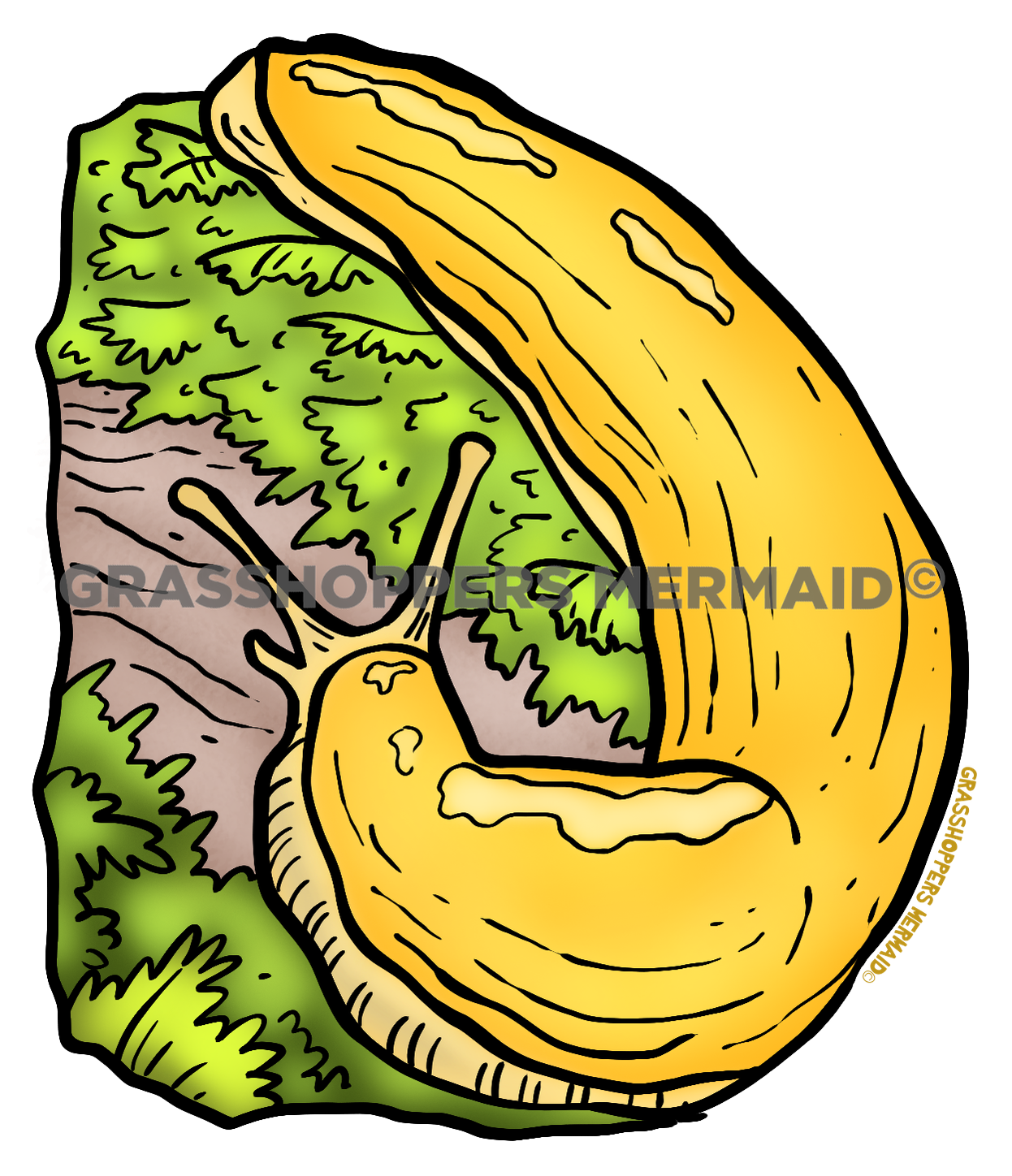 Banana Slug Trail