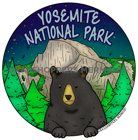 Black Bear Pose Yosemite