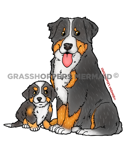 Bernese Mountain Dog