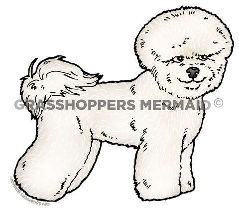 Bichone Frise