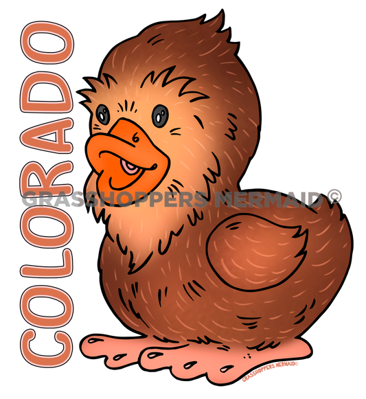 Bigfoot Duck