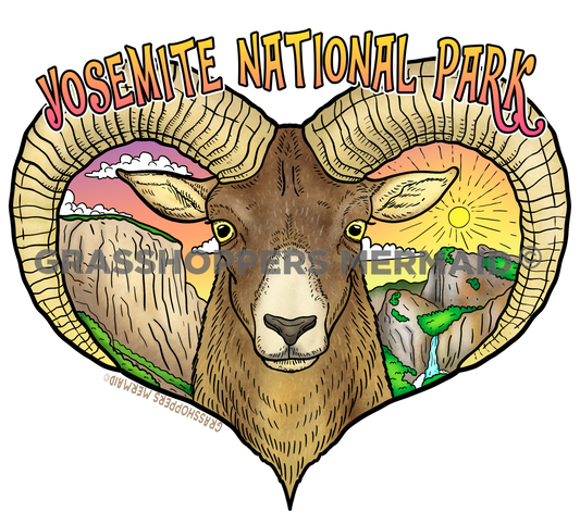 Bighorn Sheep Yosemite