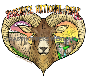 Bighorn Sheep Yosemite