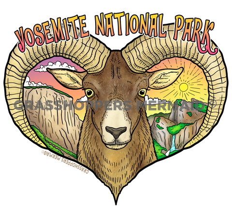 Bighorn Sheep Yosemite