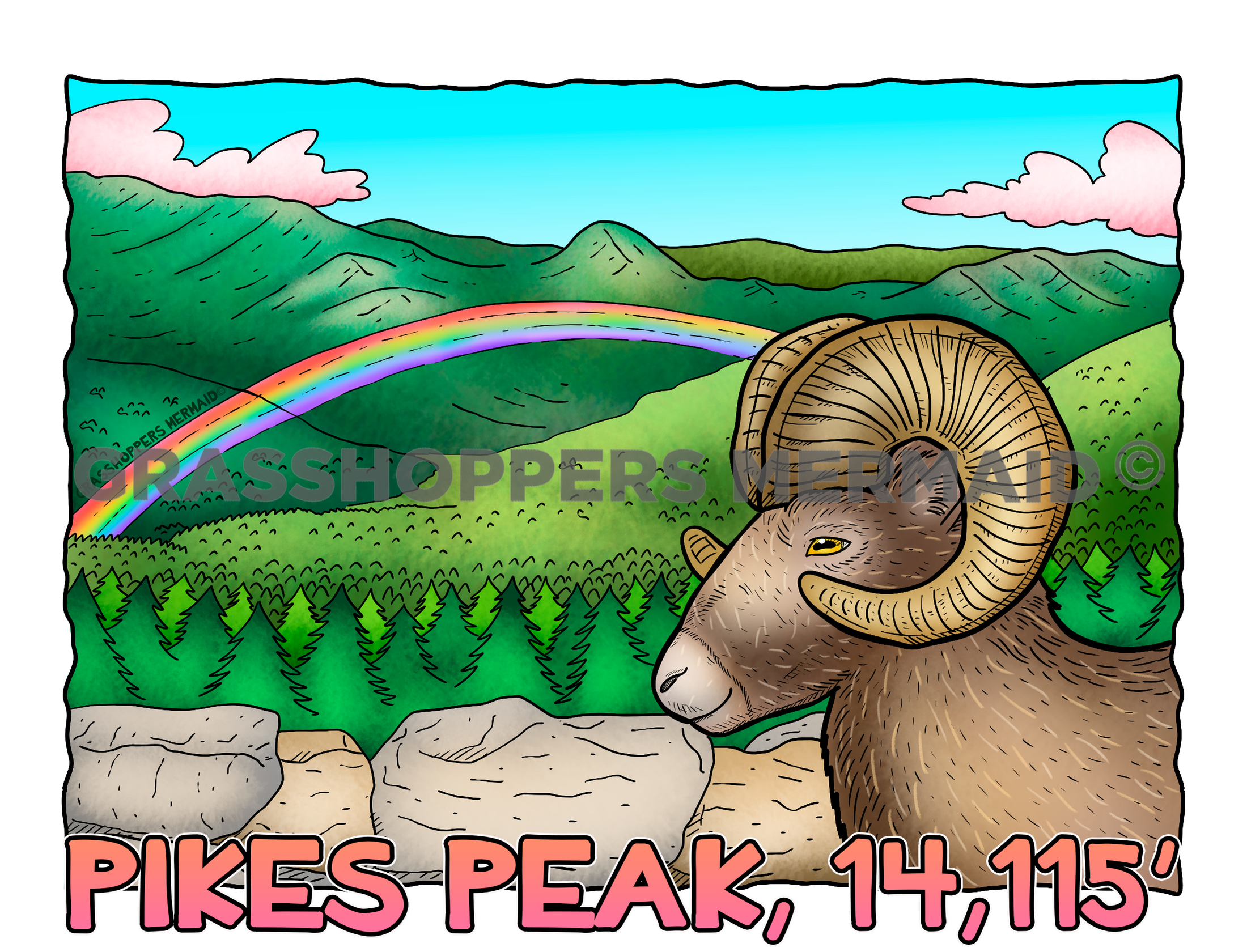 Bighorn Sheep Rainbow