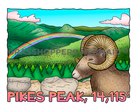 Bighorn Sheep Rainbow