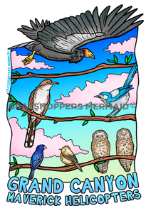 Bird Twig Lineup