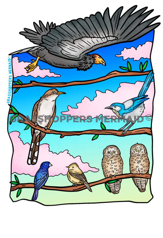 Bird Twig Lineup