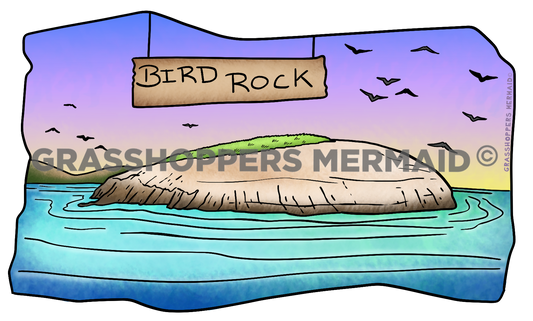 Bird Rock