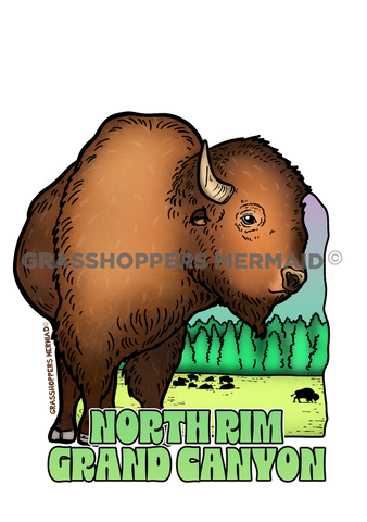 Bison King