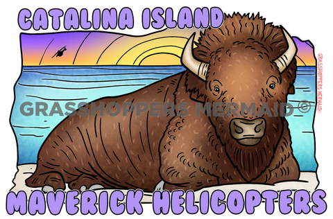 Bison on the Beach