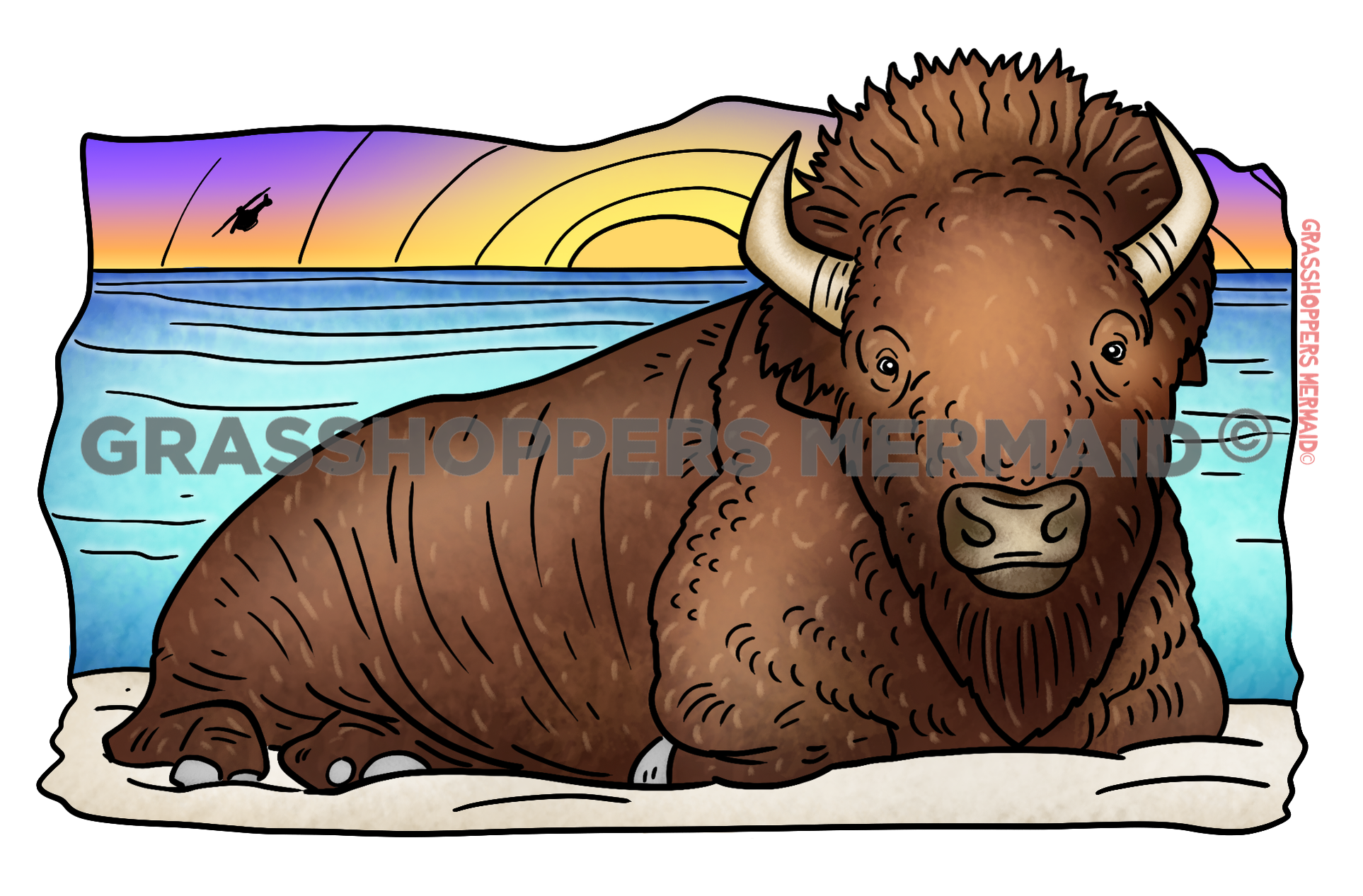 Bison on the Beach