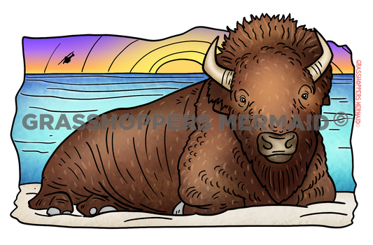 Bison on the Beach