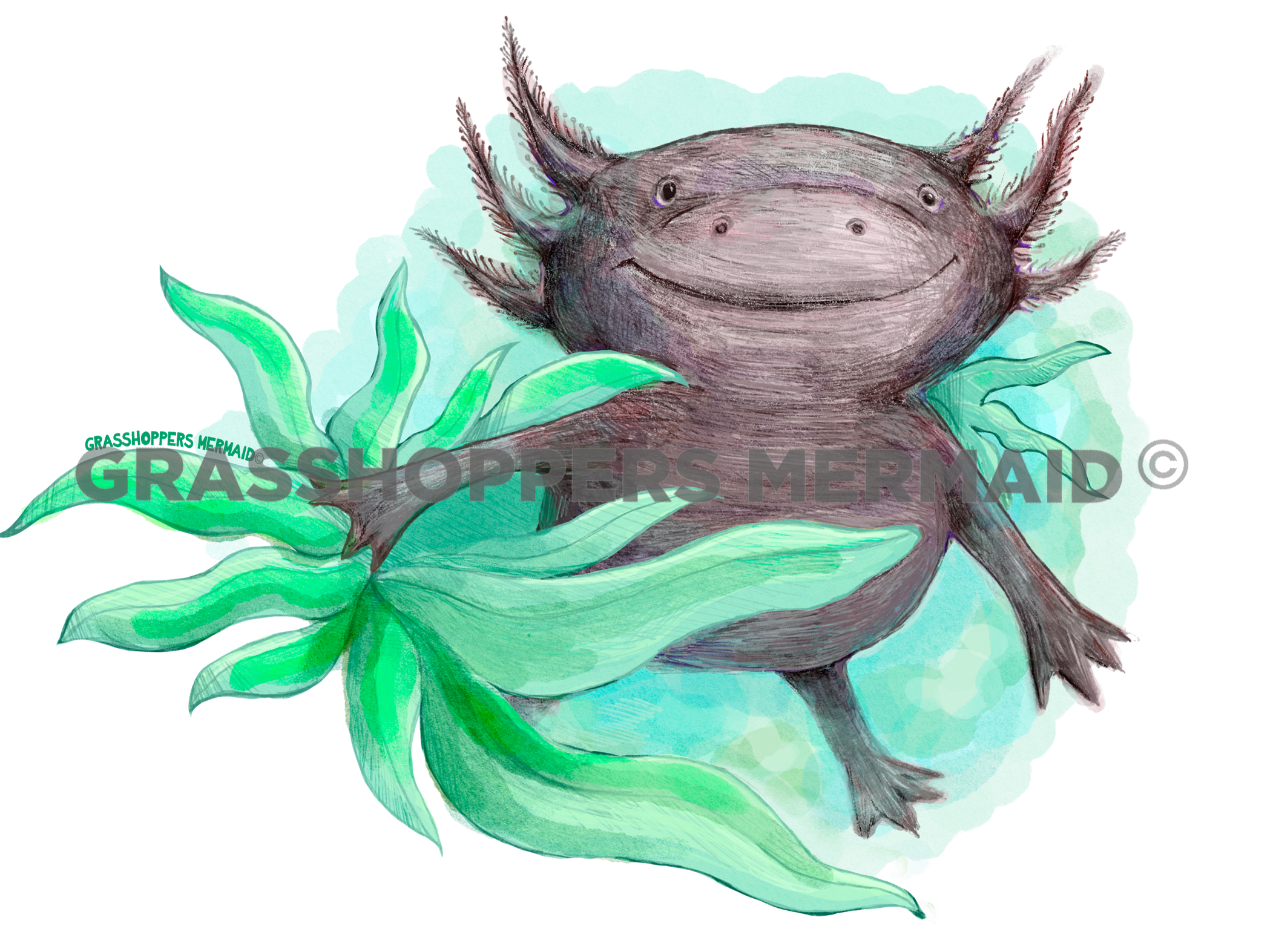 Black Axolotl