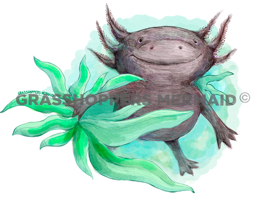 Black Axolotl
