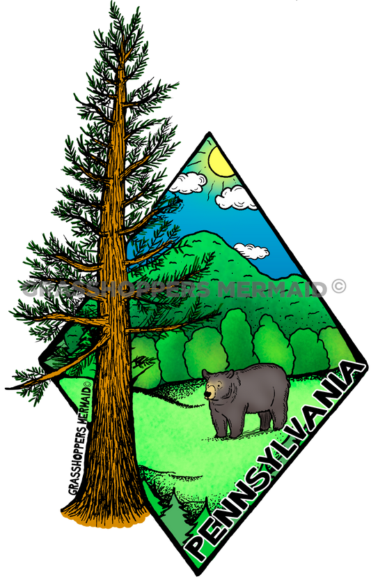 Black Bear Diamond